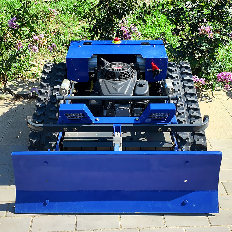 Robot Rasaerba Semovente Telec - Lawn Mower Battery recensione e prezzo