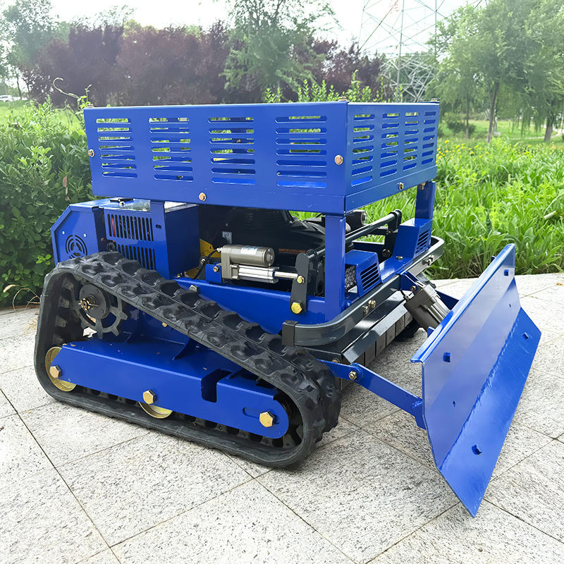 Robot Rasaerba Semovente Telec - Lawn Mower Battery recensione e prezzo