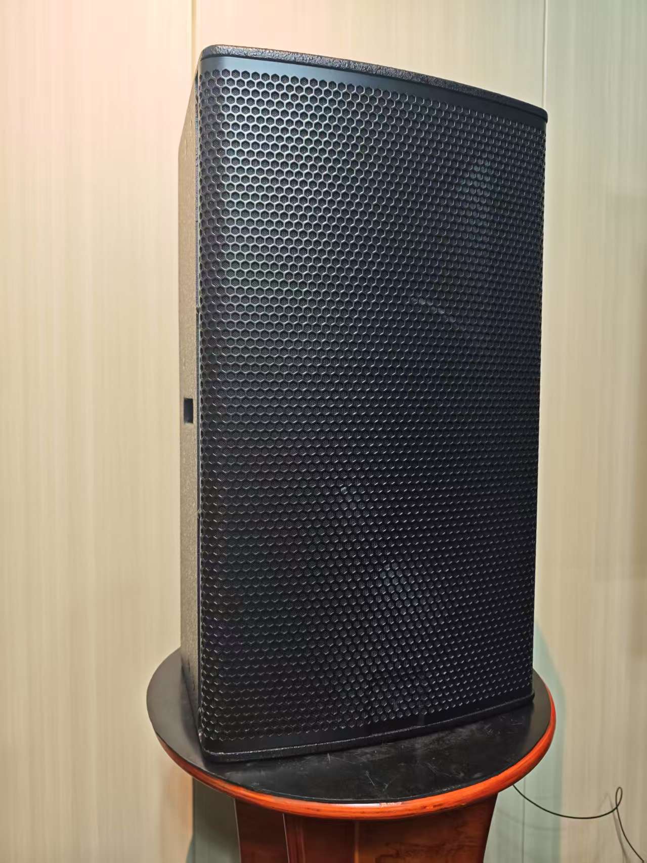 Altoparlante Attivo in Legno d - Outdoor Power Direct recensione e prezzo