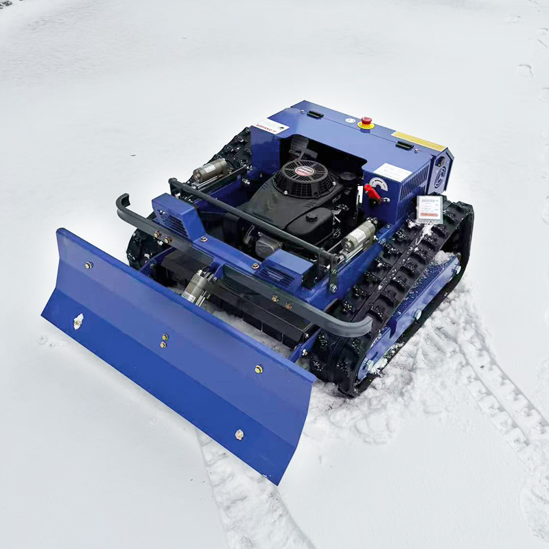 Falciatrice rotativa cingolata - Lawn Mower Battery recensione e prezzo